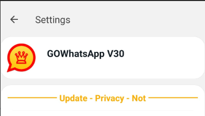 GOWhatsApp Android: Mais Controle e Personalização para o WhatsApp